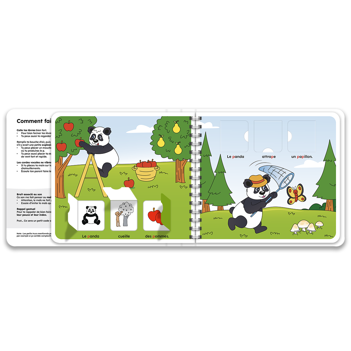 Pages intérieures du livre à rabats « J'apprends à prononcer le son p avec le panda »