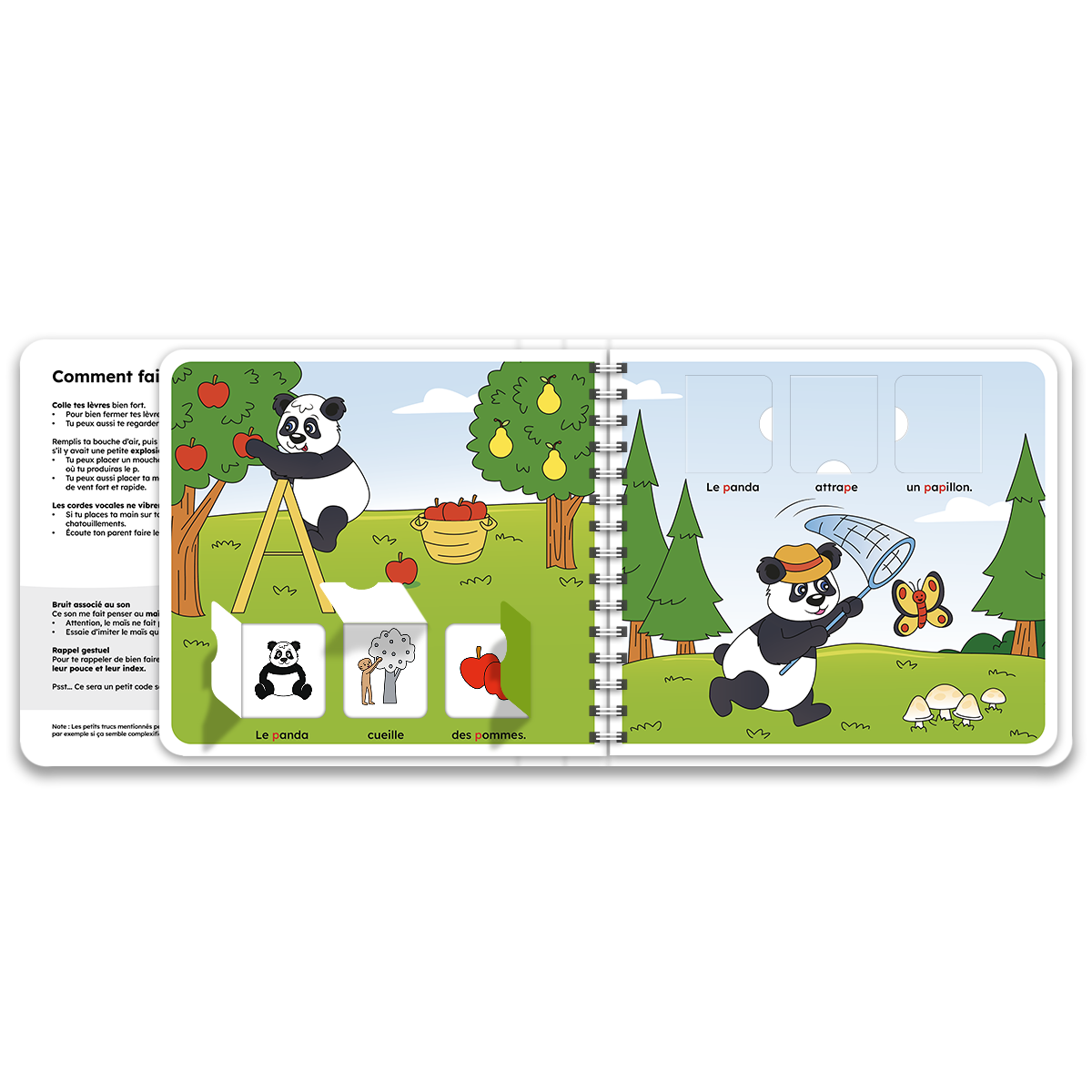 Pages intérieures du livre à rabats avec le panda, inclus dans le coffret